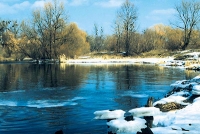 На большинстве рек бассейнов Днепра, Березины, Сожа и Припяти вода находится на пойме