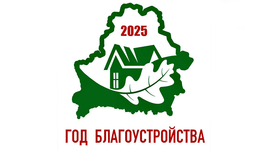 Выборы-2024