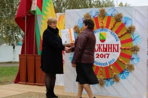 Районный фестиваль-праздник тружеников села Дожинки-2017