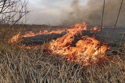 Пал сухой травы: опасность и ответственность