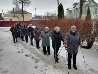 Прогулка со скандинавскими палками