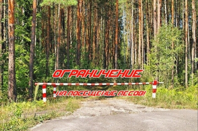 В Краснопольском районе с 23 апреля введено ограничение на посещение лесов