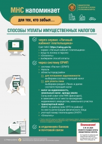 МНС напоминает
