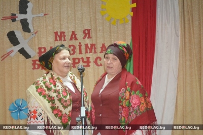 Творческий отчет сельсовета прошел в Холмах