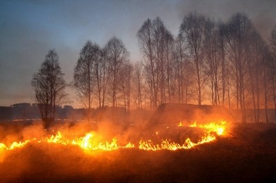 Осторожно: сухая трава!