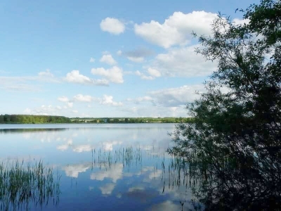 Узнали, где в Краснополье разрешено купаться, а где нет