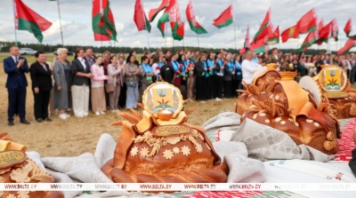 Аграрии Могилевской области намолотили 1 млн тонн зерна