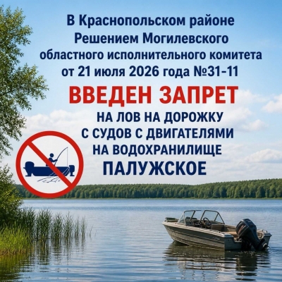 Введен запрет