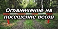 С 11 июня 2025 года  введено ограничение на посещение лесов на территории Краснопольского лесхоза