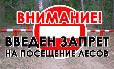 Внимание: Запрет на посещение лесов в Краснопольском районе