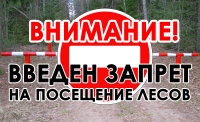 Внимание: Запрет на посещение лесов в Краснопольском районе