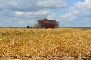 Комбайнеры отделения «Дружба» спешат на помощь в уборке урожая