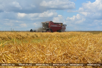 Комбайнеры отделения «Дружба» спешат на помощь в уборке урожая