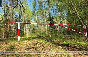 В Краснопольском районе с 1 июня введено ограничение на посещение лесов
