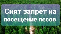 Краснопольский лесхоз снимает ограничения на посещение лесов с 5 мая